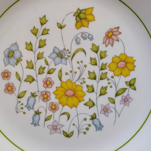 Corelle Meadow Dinner Plates (4) 10 1/4" Vintage Cottagecore Prairie 1980s - Picture 3 of 4